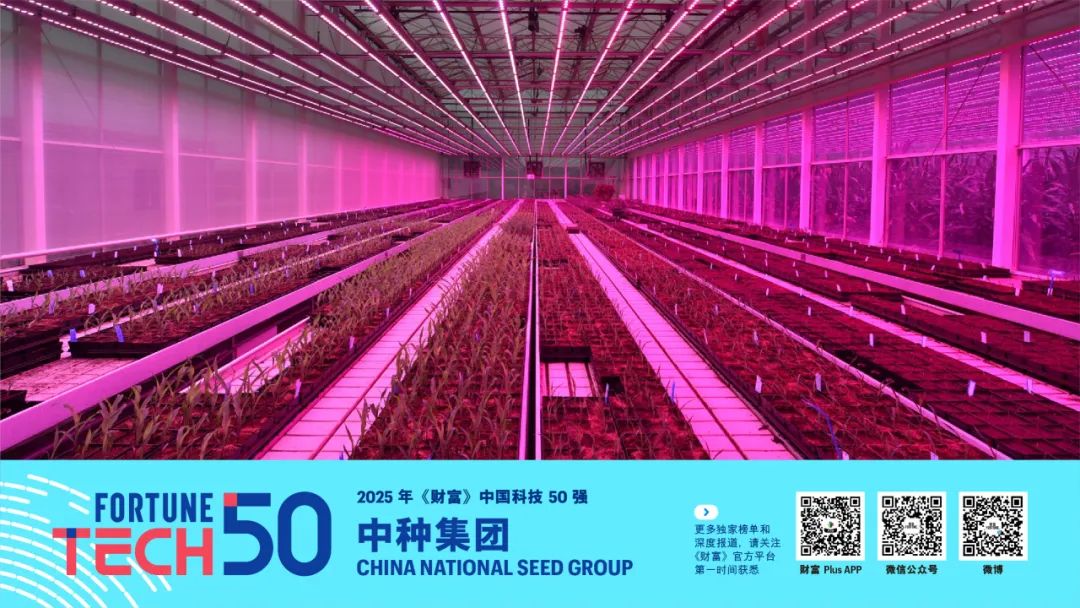 2025年《财富》中国科技50强