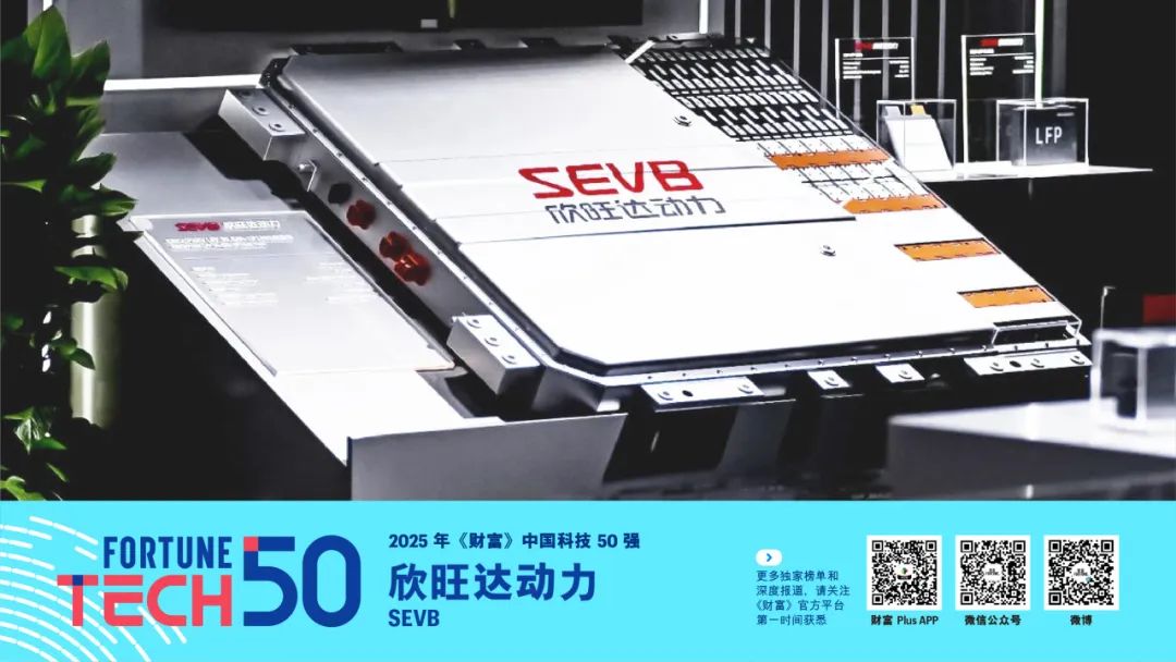 2025年《财富》中国科技50强(图26)